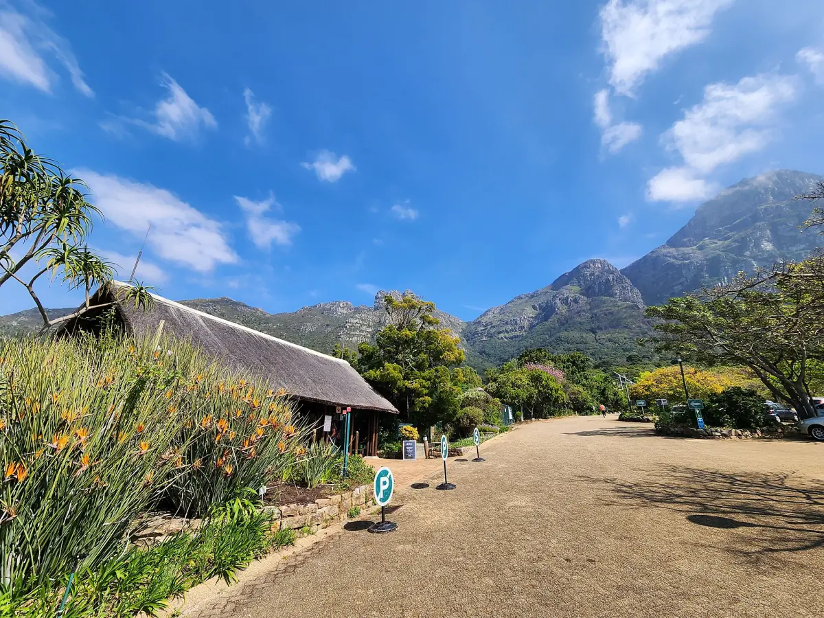 Kirstenbosch below the slopes of Table Mountain