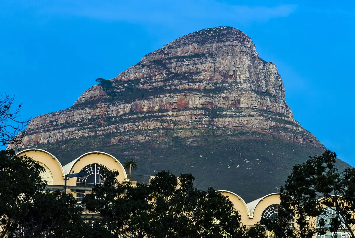 Lion's Head in morning light